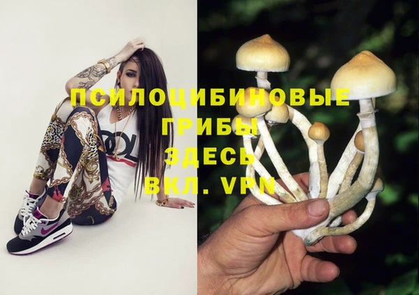 спиды Покачи