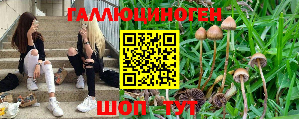 Псилоцибиновые грибы MAGIC MUSHROOMS  где можно купить наркотик  Павлово  Вход с VPN 