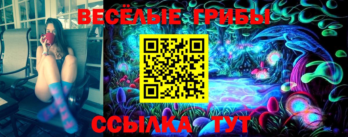 Лсд 25 Павлово
